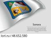 Wave flag of Sonora is a region of Mexico. Стоковая иллюстрация, иллюстратор Максим Гребешков / Фотобанк Лори