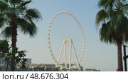 UAE, Dubai, 21 November 2024: The famous largest observation wheel The Eye of Dubai at sunset - Ain Dubai, island Bluewaters. Редакционное видео, видеограф Vladimir Drozdin / Фотобанк Лори