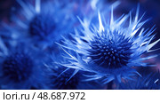 zoom blue thistle ai generated. Стоковое AI-изображение, AI-художник Vectorwin / Фотобанк Лори