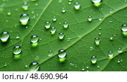 transpiration plant chemistry ai generated. Стоковое AI-изображение, AI-художник Vectorwin / Фотобанк Лори