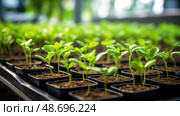 hybridization plant breeding ai generated. Стоковое AI-изображение, AI-художник Vectorwin / Фотобанк Лори