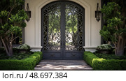 scrollwork iron front door ai generated. Стоковое AI-изображение, AI-художник Vectorwin / Фотобанк Лори