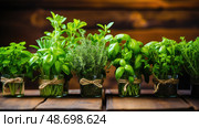 culinary herbal plant ai generated. Стоковое AI-изображение, AI-художник Vectorwin / Фотобанк Лори