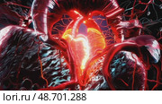 Anatomically correct human heart with venous system, realistic model. 3D illustration for medical applications, educational sites, websites. Стоковое AI-видео, аниматор ALLA YURTAYEVA / Фотобанк Лори