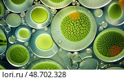 cytoplasm plant cells ai generated. Стоковое AI-изображение, AI-художник Vectorwin / Фотобанк Лори