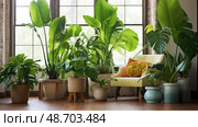 monstera tropical house plants ai generated. Стоковое AI-изображение, AI-художник Vectorwin / Фотобанк Лори