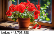 blooming red geraniums ai generated. Стоковое AI-изображение, AI-художник Vectorwin / Фотобанк Лори
