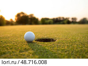 Golf ball and clubs in golf field. Стоковое фото, фотограф Sebastian Duda / PantherMedia / Фотобанк Лори