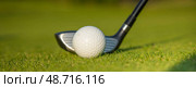 Sport and lifestyle, golf player playing in a golf club. Стоковое фото, фотограф Sebastian Duda / PantherMedia / Фотобанк Лори