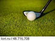 Playing Golf ball, course on a sunny day. Стоковое фото, фотограф Sebastian Duda / PantherMedia / Фотобанк Лори
