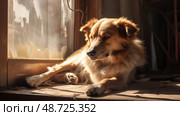 mixedbreed dog at the door ai generated. Стоковое AI-изображение, AI-художник Vectorwin / Фотобанк Лори