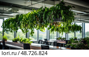 hangg plant in office ai generated. Стоковое AI-изображение, AI-художник Vectorwin / Фотобанк Лори