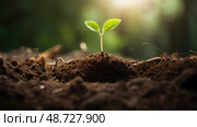 sprout tree life cycle ai generated. Стоковое AI-изображение, AI-художник Vectorwin / Фотобанк Лори