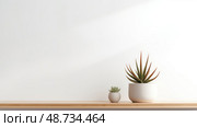 ism minimal plant ai generated. Стоковое AI-изображение, AI-художник Vectorwin / Фотобанк Лори