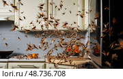 gras pests in kitchen ai generated. Стоковое AI-изображение, AI-художник Vectorwin / Фотобанк Лори