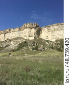 Белая скала (Ак-Кая), куэста. Республика Крым, Белогорский район (2022 год). Стоковое фото, фотограф Щеголева Ольга / Фотобанк Лори