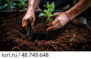 trowel plant dirt ai generated. Стоковое AI-изображение, AI-художник Vectorwin / Фотобанк Лори