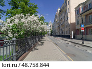 Цветущая сирень у Патриаршьего пруда. Малая Бронная улица, Москва, Россия, солнечный день в мае. Редакционное фото, фотограф Сергей Рыбин / Фотобанк Лори
