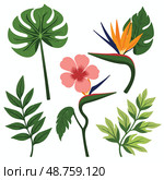 Vibrant tropical plant collage with geometric shapes, nature design. Стоковое AI-изображение, AI-художник Ольга Невская / Фотобанк Лори