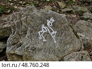 Сочи. Тропа, ведущая к Агурским водопадам. Природный парк. Рисунок на камне (2019 год). Редакционное фото, фотограф Илюхина Наталья / Фотобанк Лори