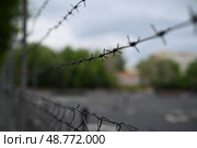 Колючая проволока на ограждении. Стоковое фото, фотограф Кутовой Юрий Викторович / Фотобанк Лори