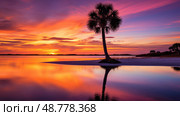 landscape sabal palm tree ai generated. Стоковое AI-изображение, AI-художник Vectorwin / Фотобанк Лори