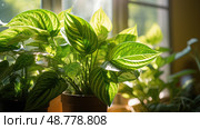 leaves plant needs ai generated. Стоковое AI-изображение, AI-художник Vectorwin / Фотобанк Лори