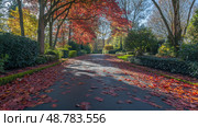 country leaves on road ai generated. Стоковое AI-изображение, AI-художник Vectorwin / Фотобанк Лори