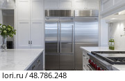 sleek refrigerator in kitchen ai generated. Стоковое AI-изображение, AI-художник Vectorwin / Фотобанк Лори