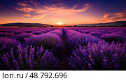 suncontrast dark purple flowers ai generated. Стоковое AI-изображение, AI-художник Vectorwin / Фотобанк Лори