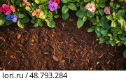 bed mulch plants ai generated. Стоковое AI-изображение, AI-художник Vectorwin / Фотобанк Лори