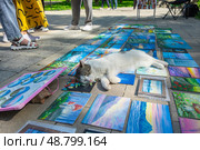 Бездомный кот на уличной выставке-продаже картин. Редакционное фото, фотограф Лариса Веселова / Фотобанк Лори