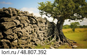 reclamation broken walls ai generated. Стоковое AI-изображение, AI-художник Vectorwin / Фотобанк Лори