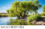 riverbank tamarisk tree ai generated. Стоковое AI-изображение, AI-художник Vectorwin / Фотобанк Лори