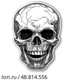 Grinning skull showing teeth and cracks on cranium. Стоковое AI-изображение, AI-художник Андрей Знаменский / Фотобанк Лори