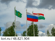 Уличные флагштоки с флагами России, Бабынинского района, Калужской области. Редакционное фото, фотограф Василий Мальцев / Фотобанк Лори