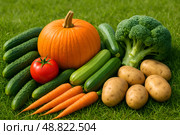 Edible colorful background of freshly picked vegetables: pumpkin, cucumbers, zucchini, potatoes, carrots, broccoli, tomatoes on green grass. Healthy organic vitamin food for vegan and vegetarian. Стоковое AI-изображение, AI-художник Iva Noel / Фотобанк Лори