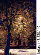 Light of lantern breaks through the foliage of an aspen tree. City street at night. Стоковое фото, фотограф Евгений Ткачёв / Фотобанк Лори