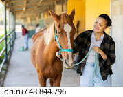 Young woman leading horse out of stable. Стоковое фото, фотограф Яков Филимонов / Фотобанк Лори