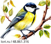 Titmouse. Watercolor illustration on white background. Стоковое AI-изображение, AI-художник Ирина Самойлова / Фотобанк Лори