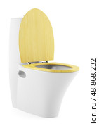 single modern toilet bowl with wooden cover isolated on white background. Стоковое фото, агентство Ingram Publishing / Фотобанк Лори