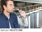 male wine producer. Стоковое фото, агентство Ingram Publishing / Фотобанк Лори