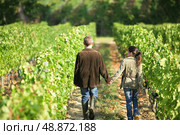 Couple walking in between rows of vines. Стоковое фото, агентство Ingram Publishing / Фотобанк Лори