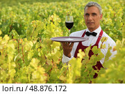 Waiter in field with glass of wine. Стоковое фото, агентство Ingram Publishing / Фотобанк Лори