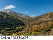 Karmadon Gorge. North Ossetia. Russia. Стоковое фото, фотограф Ольга Сейфутдинова / Фотобанк Лори