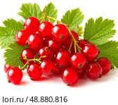 Ягоды красной смородины с листьями на белом фоне. Смородина – настоящий кладезь витаминов. Стоковое AI-изображение, AI-художник Сергей Елизарьев / Фотобанк Лори