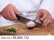Chef chopping a red onion. Стоковое фото, агентство Ingram Publishing / Фотобанк Лори
