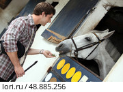 Man feeding a horse. Стоковое фото, агентство Ingram Publishing / Фотобанк Лори