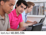 University students working in the library. Стоковое фото, агентство Ingram Publishing / Фотобанк Лори