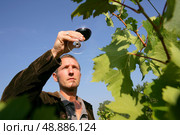 Man tasting a wine. Стоковое фото, агентство Ingram Publishing / Фотобанк Лори